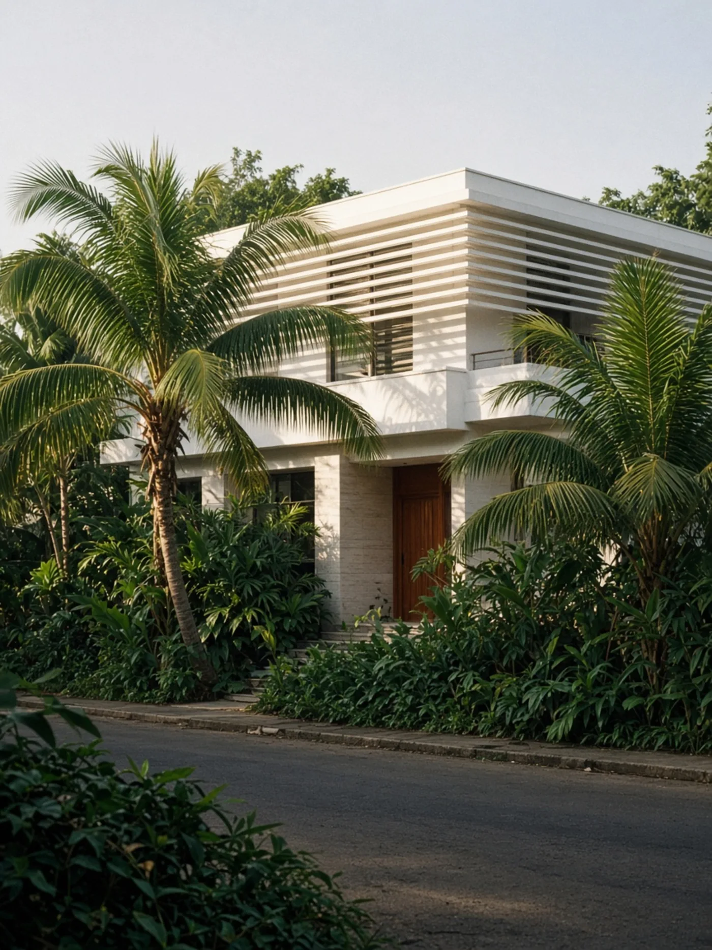 Maison contemporaine au jardin tropical, illustration des stratégies immobilières